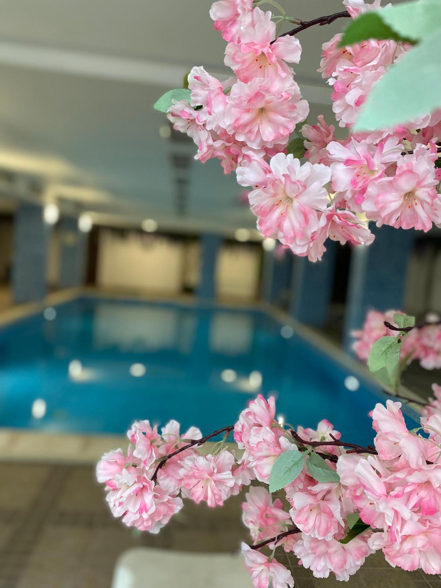 Complex Nero Lejlighedshotel Pamporovo Eksteriør billede